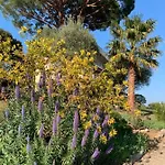 With A Panoramic View At The Floor Of A With A Pool * Antibes