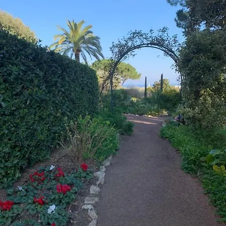 With A Panoramic View At The Floor Of A With A Pool Αντίμπ