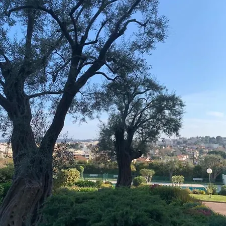 With A Panoramic View At The Floor Of A With A Pool Apartment