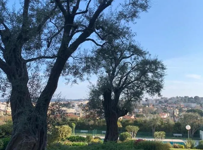 With A Panoramic View At The Floor Of A With A Pool Διαμέρισμα