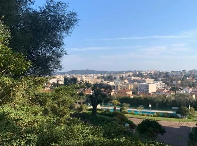 With A Panoramic View At The Floor Of A With A Pool